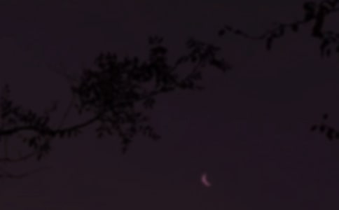 �����������Z(y��)���Ŵ�ϼ�73��