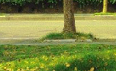 ��Ҋ��ܰ�簲���ţ�ͨ��180�䣩