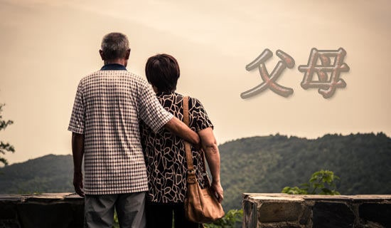 ���ӌ��o��ĸ��һ���ţ�ͨ��24ƪ��