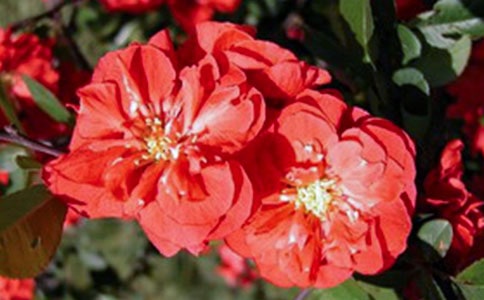 ���~���ĵĽ�(j��ng)���_�~160��