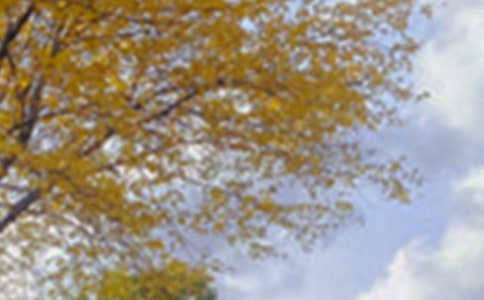 ��ɫ����ժ��100��5ƪ