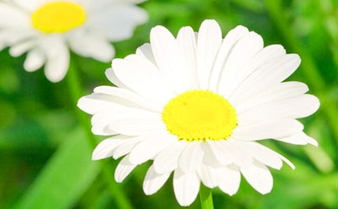 ��Ԋ���ף����Ϫ������� �ջ���