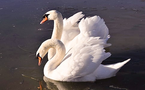 С���ZͯԒ����