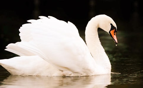 ���������Z����