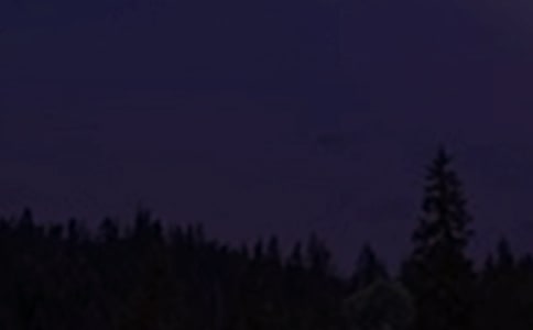 ��(j��ng)�䃞(y��u)�������������Z29��