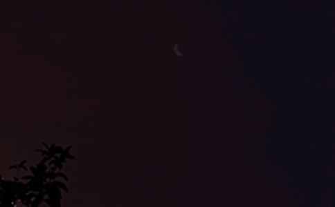 ����������ϵ���������Z���ż��\59�l