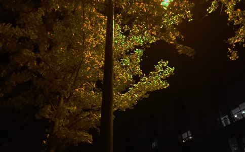 �P(gu��n)�ڄ�(l��)־�������ţ�ͨ��50�䣩