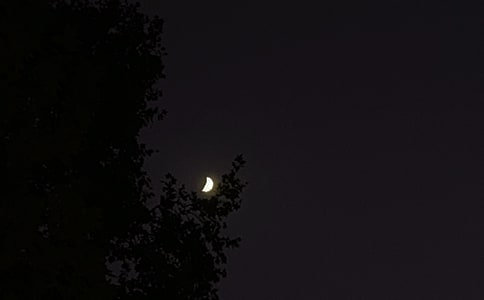 �����Ĝ�ů���������Z����44��