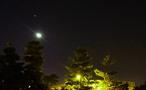 ���̵�����ϵ���������Z����42��