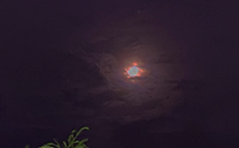 �����Ĝ�ů���������Z����39��