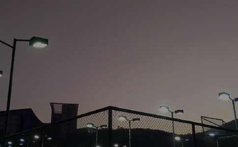 ���xΨ�������������Z31��