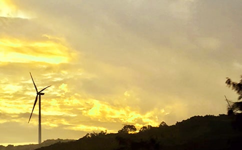 �P���������簲���ţ����x50�䣩