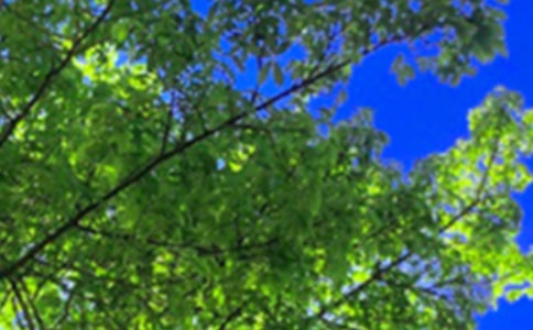 ��(j��ng)���������簲���Ŵ�ȫ�����x90�䣩