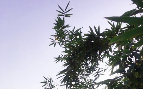 ��(j��ng)���������簲����70��