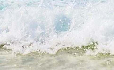 �P(gu��n)�ڐ��������ģ����x31ƪ��