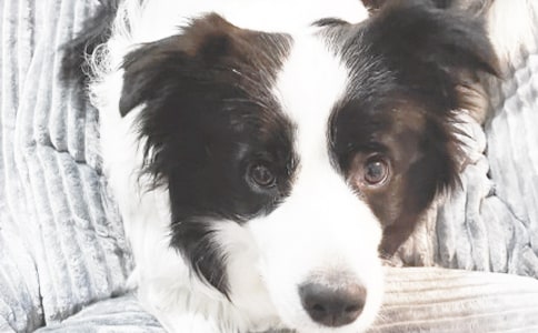 �cС������400�ּ��\��ƪ