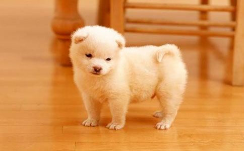 ���xС����(y��u)������400����ƪ