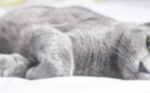 С؈������