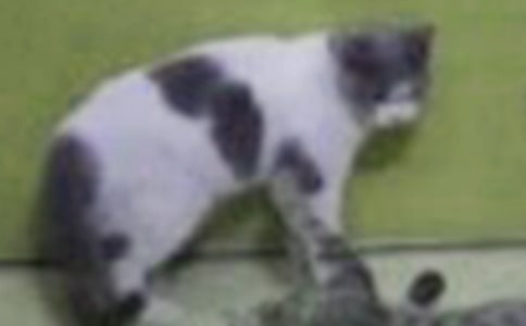 С؈������