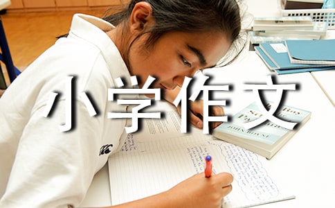 ��(sh��)�õ�С�W(xu��)����300��4ƪ[���T]