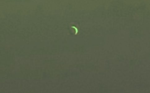 �P(gu��n)��������Ԋ(sh��)��13��