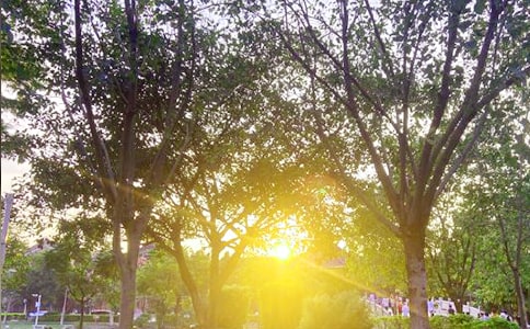 2026�꺆�̵�����ϵ�簲���Z�����\��63��