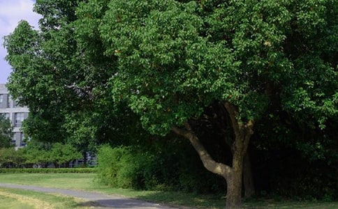 �����Ĝ�ů���簲���Z����57��