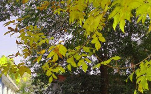 �P(gu��n)���簲��(l��)־����