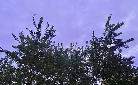 ���؂䡿�°��簲���Z���ŅR��43��