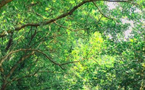 ��Ҋ��ܰ�簲�f�f�����x160�䣩