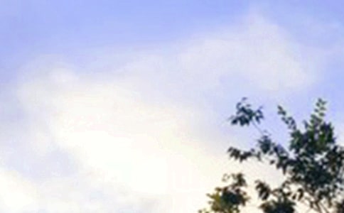 2024���m�����ϰl(f��)���簲���Z����61�l