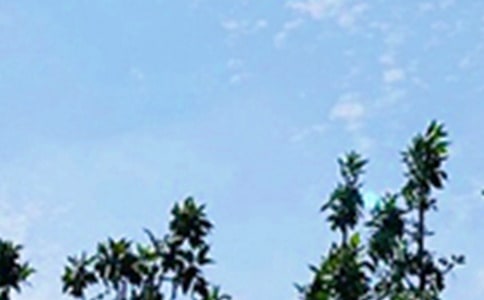 �����Ĝ�ů���簲���Z����25�l