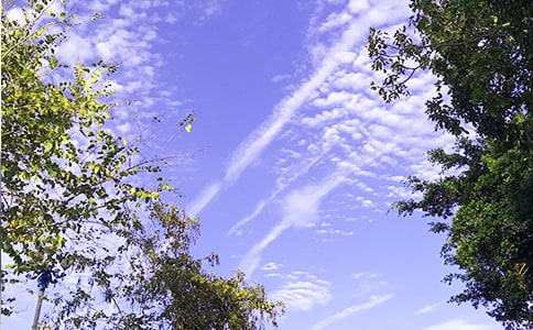 �P���簲���Ӿ��x15ƪ