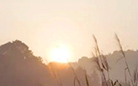 ��Ҋ��ܰ�簲����30��