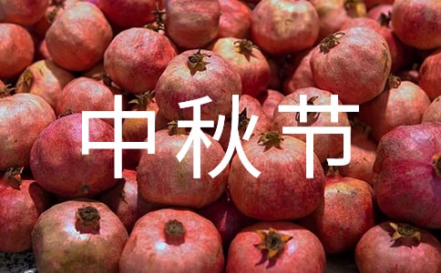 ���﹝(ji��)Ԋ(sh��)��_���﹝(ji��)��(j��ng)��Ԋ(sh��)�����b��