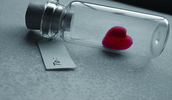 2022�꾫�xqq���g�������ժ�56��