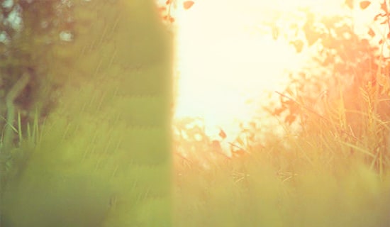 ���؂䡿2023�걯��Ψ�����Ӻϼ�78��